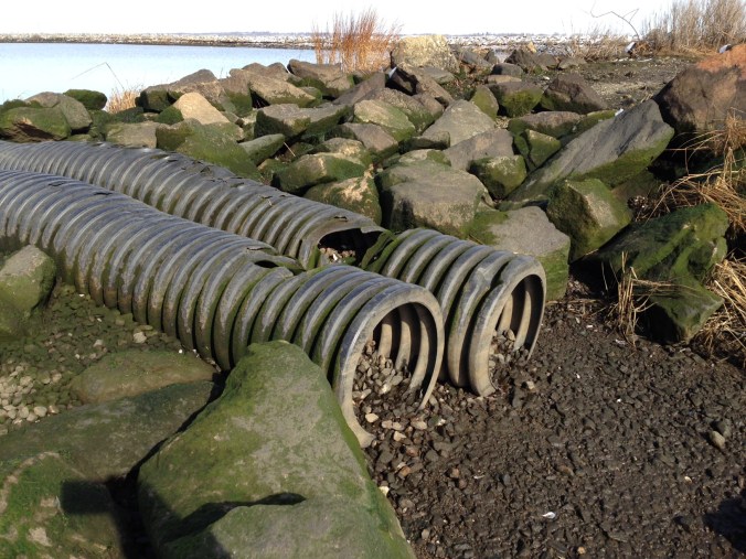 Western causeway gap culverts (Credit: J. Major)