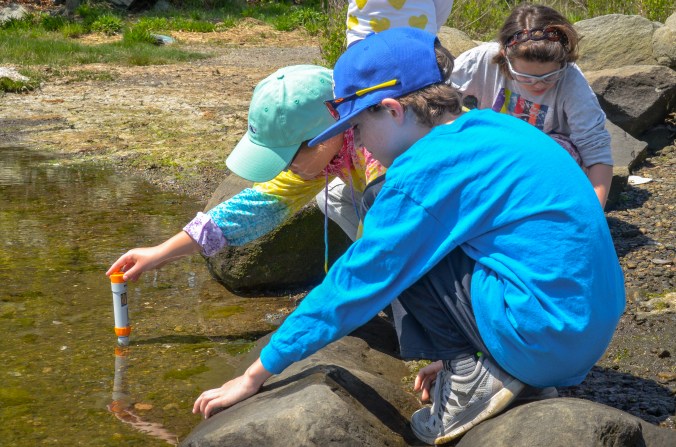 Students from St. Peter School test the salinity of Salter Grove's waters, May 23, 2016