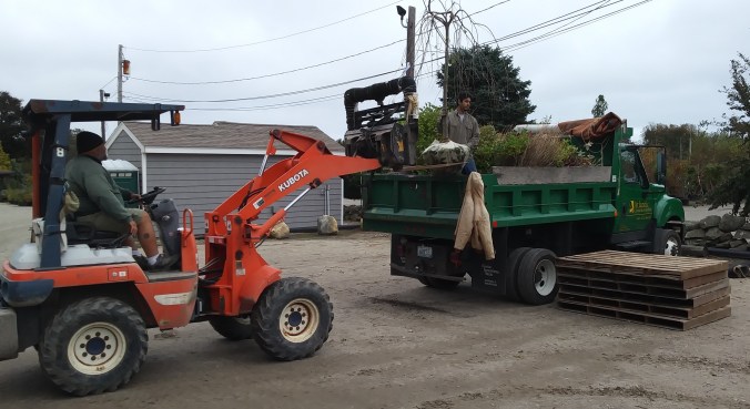 Blog post (10-14-19)(PART 1)(2