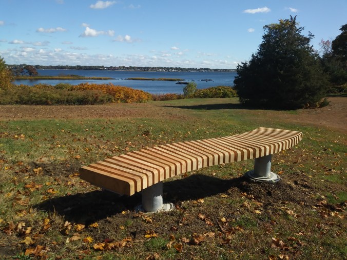 FoSg blog (102319)(1