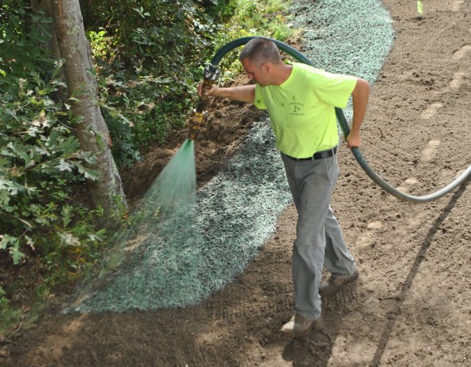 FoSG blog post (10-2-19)