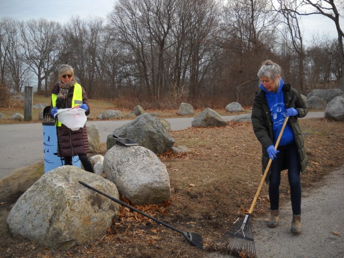 FoSG blog post (2-13-20)