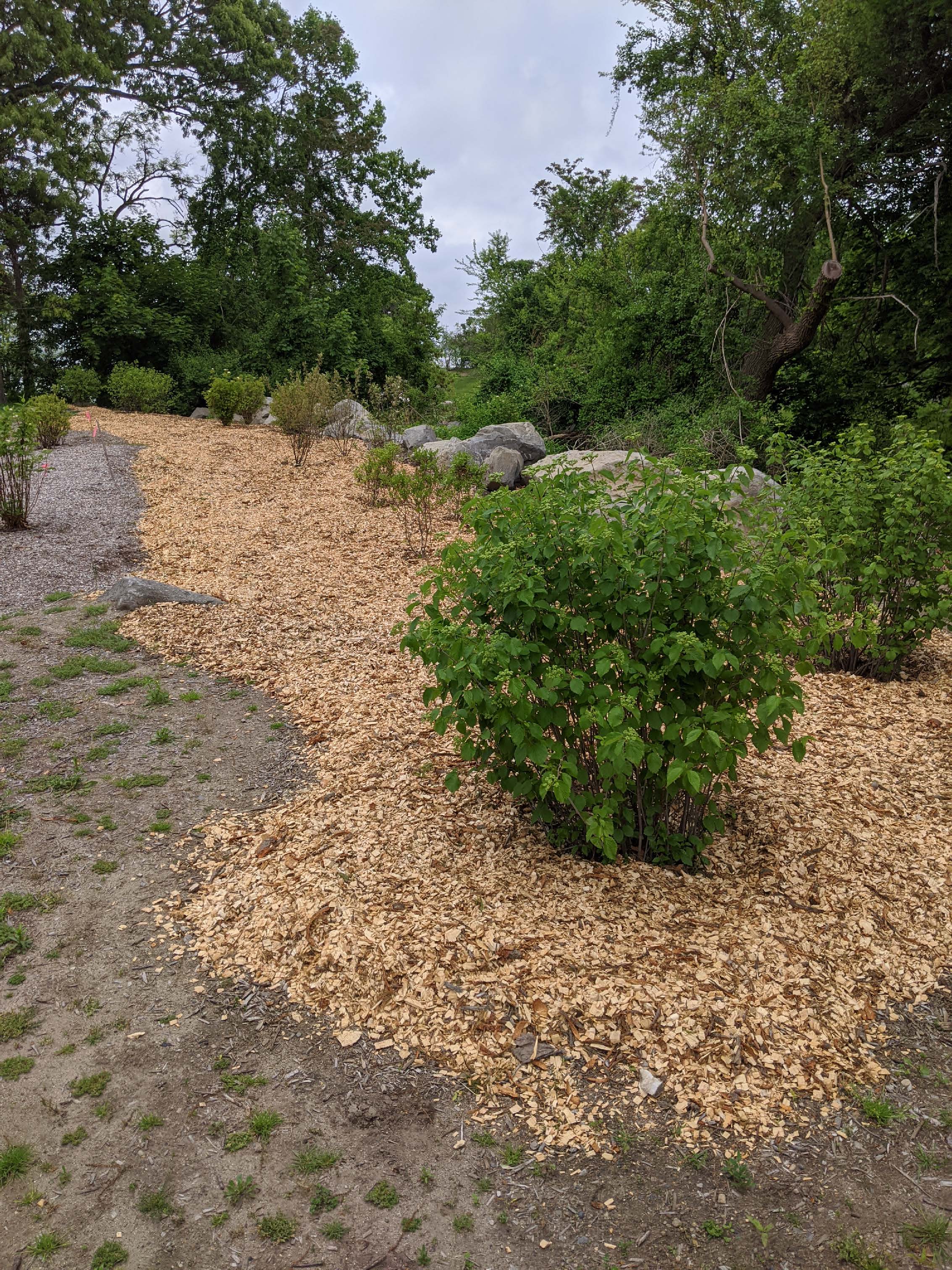 FoSG blog post (5-28-20) 2