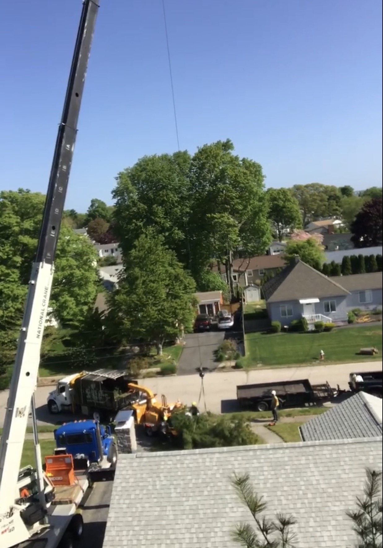 FoSG blog post (5-28-20)