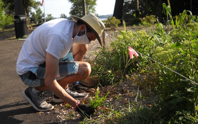 FoSG blof post (8-9-20)